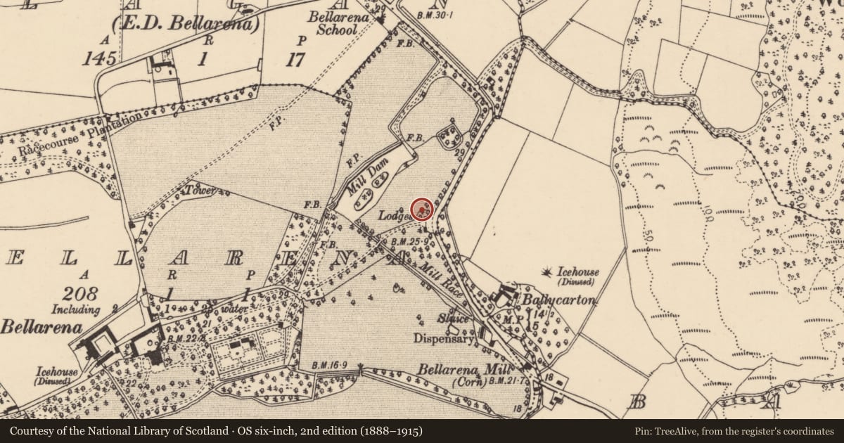 Ordnance Survey six-inch map, 2nd edition (1888–1915) covering the location of East Gate Lodge, Bellarena, Causeway Coast and Glens, with a pin at the register's coordinates