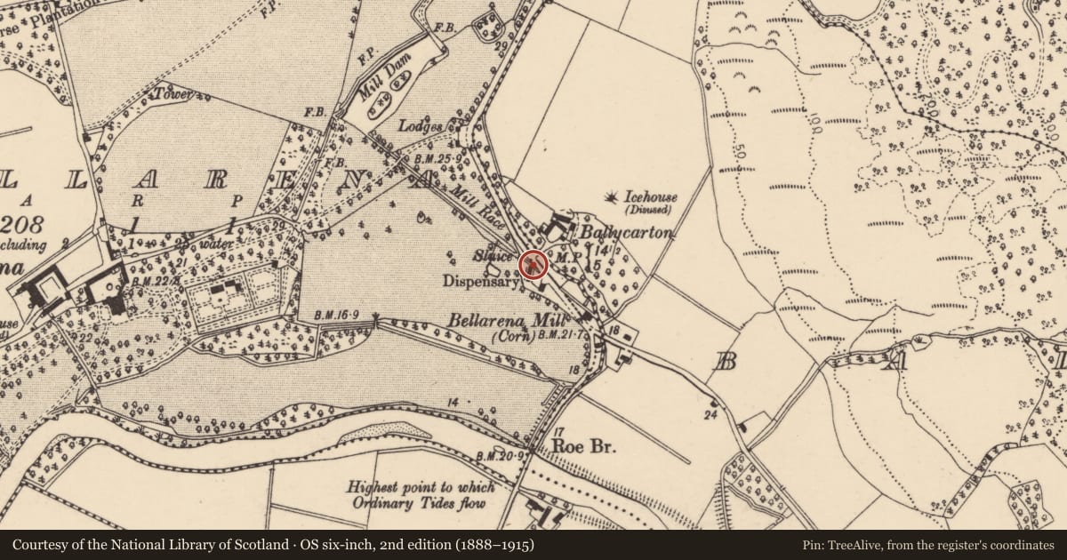 Ordnance Survey six-inch map, 2nd edition (1888–1915) covering the location of Dispensary + Cottage, Bellarena, Causeway Coast and Glens, with a pin at the register's coordinates