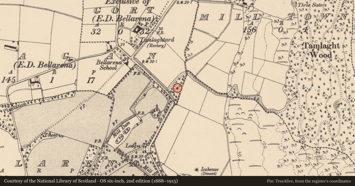 Ordnance Survey six-inch map, 2nd edition (1888–1915) covering the location of Plantation Lodge, Bellarena, Causeway Coast and Glens, with a pin at the register's coordinates