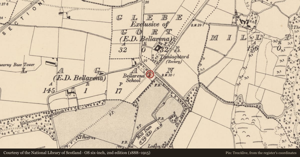 Ordnance Survey six-inch map, 2nd edition (1888–1915) covering the location of Bellarena School, Bellerena, Causeway Coast and Glens, with a pin at the register's coordinates
