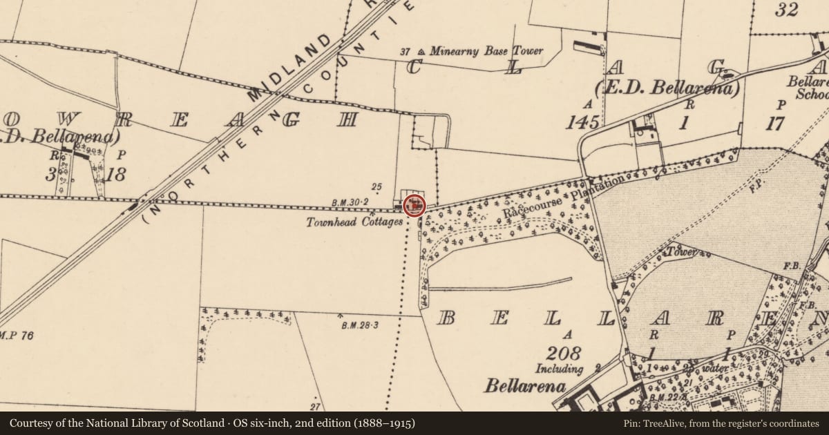 Ordnance Survey six-inch map, 2nd edition (1888–1915) covering the location of Townhead Cottages, Scotchtown, Causeway Coast and Glens, with a pin at the register's coordinates