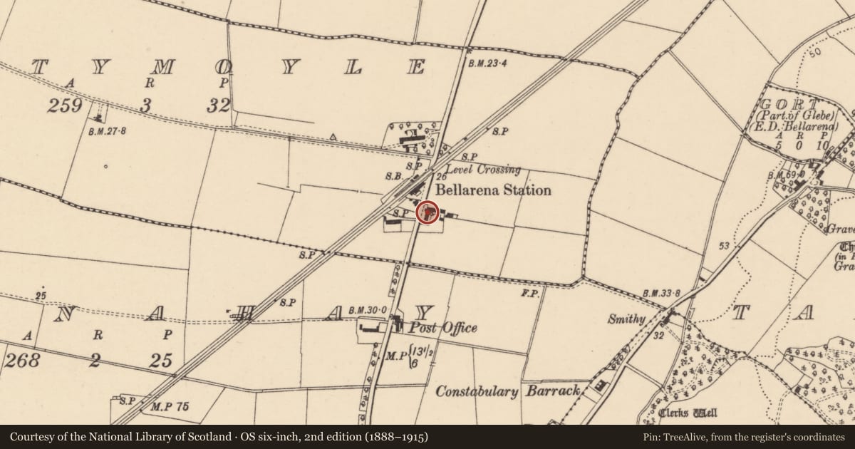 Ordnance Survey six-inch map, 2nd edition (1888–1915) covering the location of 299 Seacoast Road, Oughtymoyle, Causeway Coast and Glens, with a pin at the register's coordinates