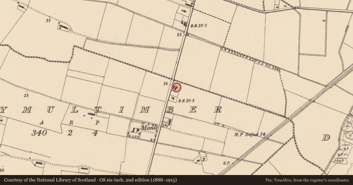 Ordnance Survey six-inch map, 2nd edition (1888–1915) covering the location of Former Thatched House, Ballymultimber, Causeway Coast and Glens, with a pin at the register's coordinates