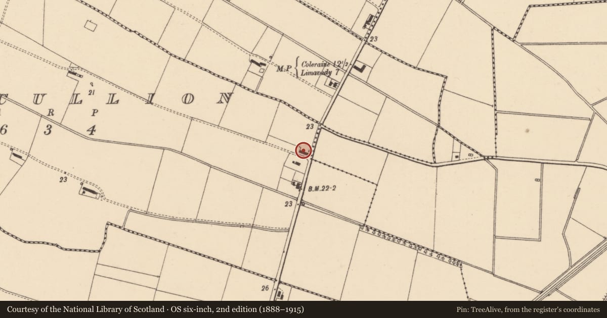 Ordnance Survey six-inch map, 2nd edition (1888–1915) covering the location of Thatched House, Ballyscullion, Causeway Coast and Glens, with a pin at the register's coordinates