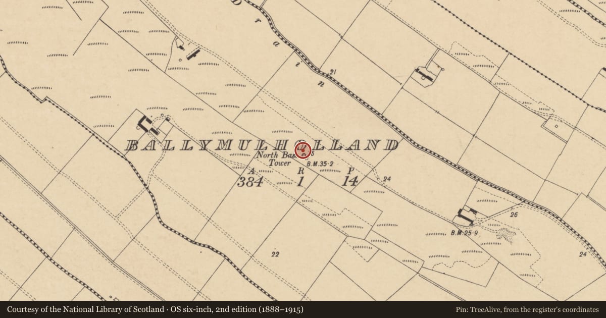 Ordnance Survey six-inch map, 2nd edition (1888–1915) covering the location of North Base Tower, Ballymulholland, Causeway Coast and Glens, with a pin at the register's coordinates