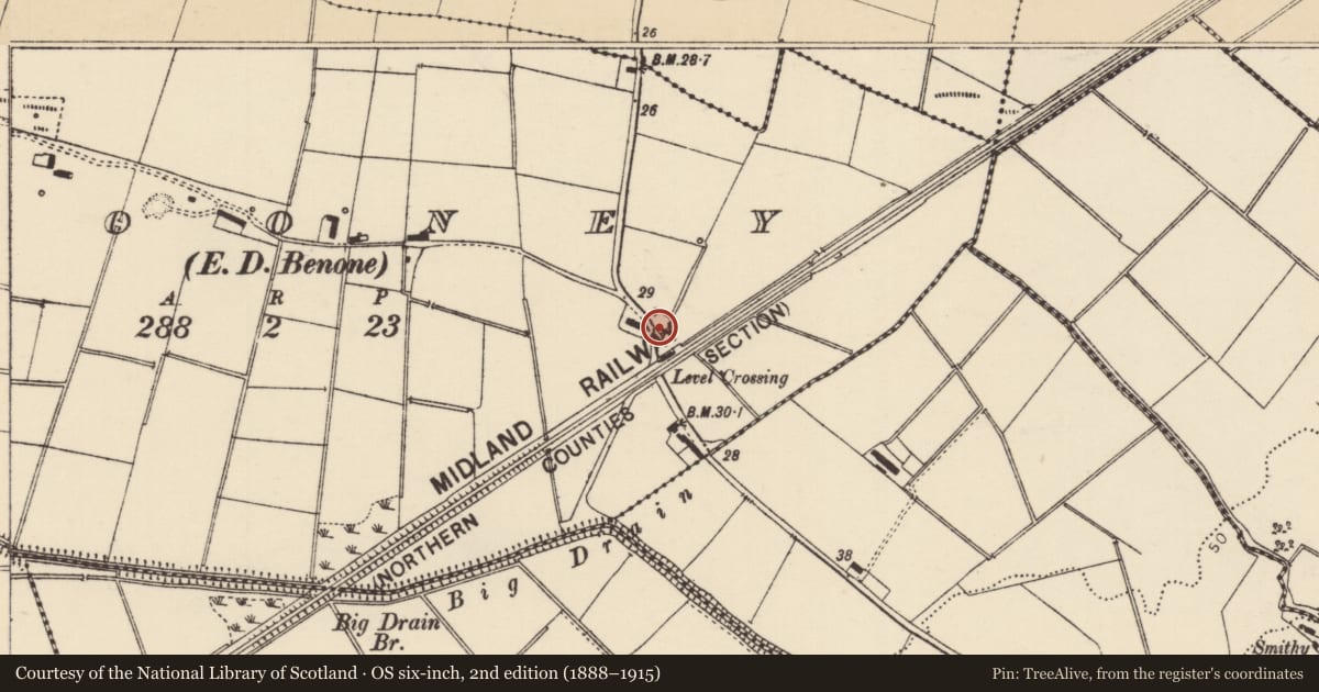 Ordnance Survey six-inch map, 2nd edition (1888–1915) covering the location of 17 Tircreven Road, Clooney, Causeway Coast and Glens, with a pin at the register's coordinates