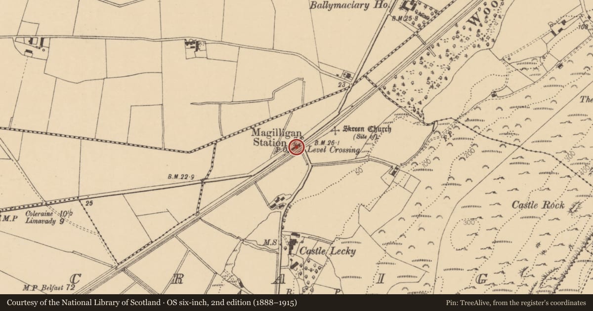 Ordnance Survey six-inch map, 2nd edition (1888–1915) covering the location of 3 Magilligan Halt, Craig, Causeway Coast and Glens, with a pin at the register's coordinates