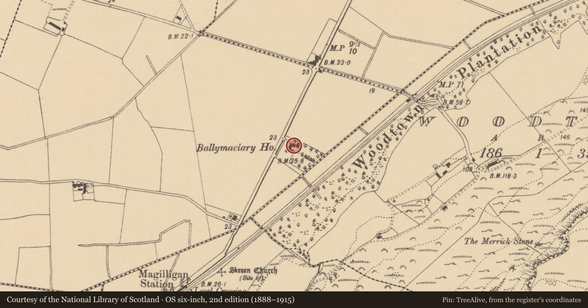 Ordnance Survey six-inch map, 2nd edition (1888–1915) covering the location of Ballymaclary House, Causeway Coast and Glens, with a pin at the register's coordinates