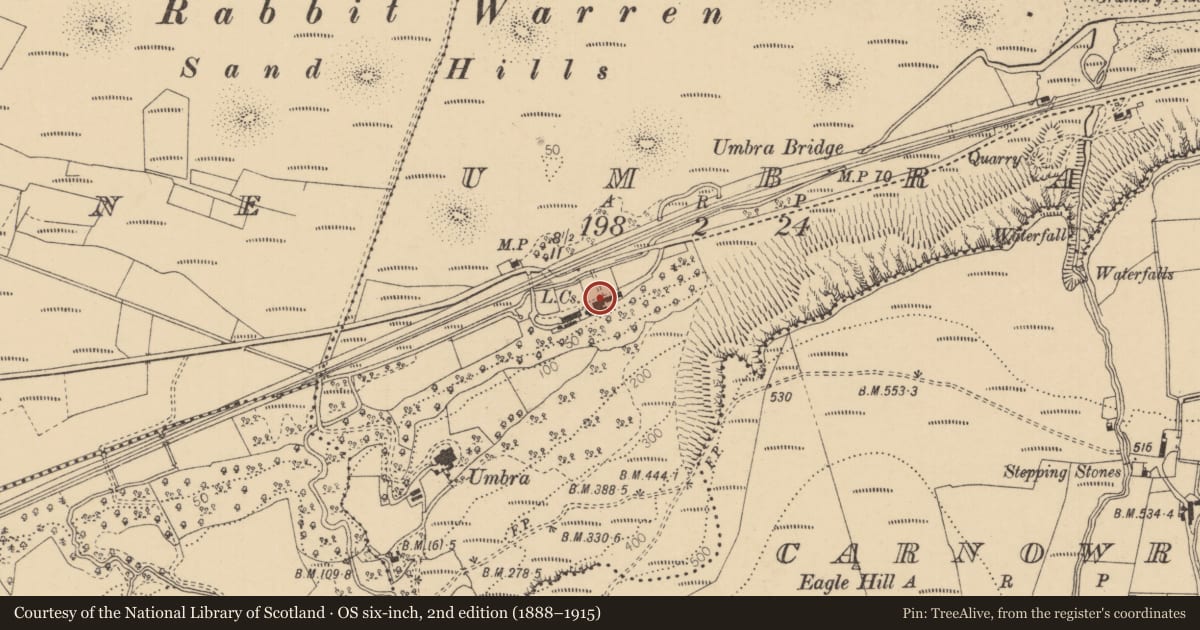 Ordnance Survey six-inch map, 2nd edition (1888–1915) covering the location of 647 Seacoast Road, Umbra, Causeway Coast and Glens, with a pin at the register's coordinates