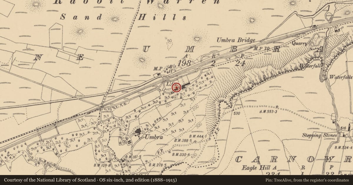 Ordnance Survey six-inch map, 2nd edition (1888–1915) covering the location of The Umbra, Causeway Coast and Glens, with a pin at the register's coordinates