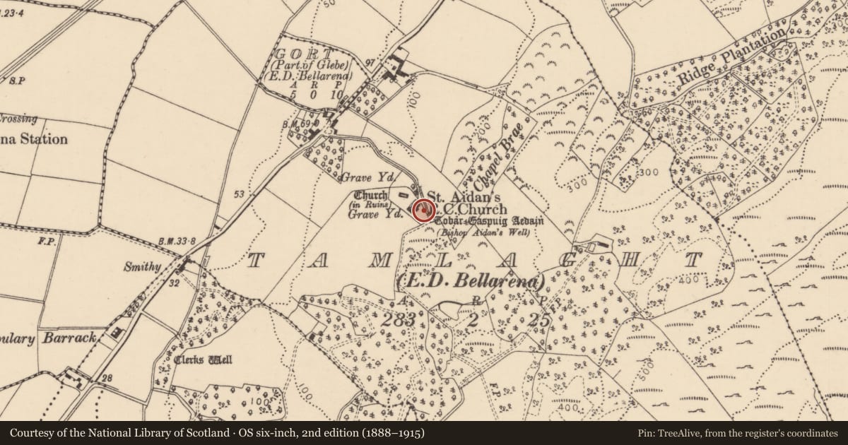 Ordnance Survey six-inch map, 2nd edition (1888–1915) covering the location of St Aidan’s R C Church, Tamlaght, Causeway Coast and Glens, with a pin at the register's coordinates
