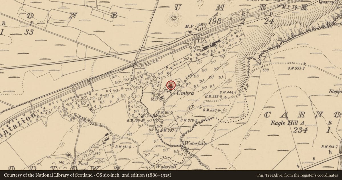 Ordnance Survey six-inch map, 2nd edition (1888–1915) covering the location of The Ferns (Formerly Umbra), Woodtown, Causeway Coast and Glens, with a pin at the register's coordinates