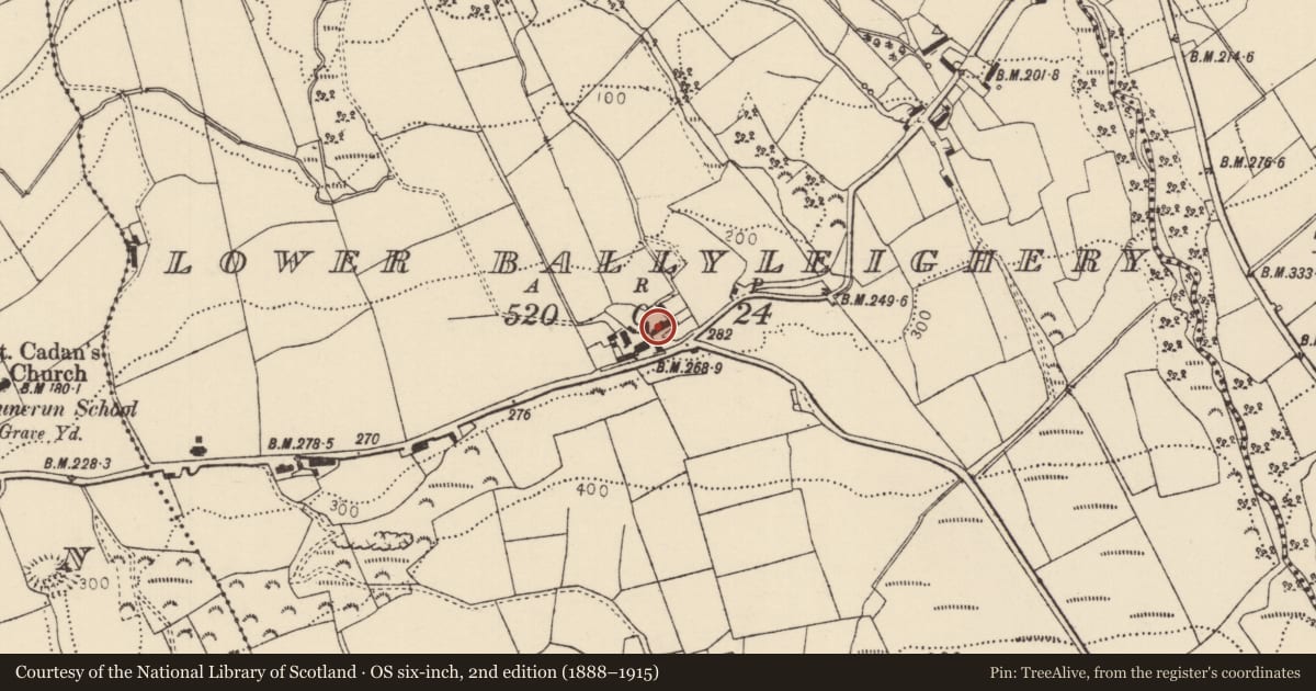 Ordnance Survey six-inch map, 2nd edition (1888–1915) covering the location of Former Thatched House, Lower Ballyleighery, Causeway Coast and Glens, with a pin at the register's coordinates