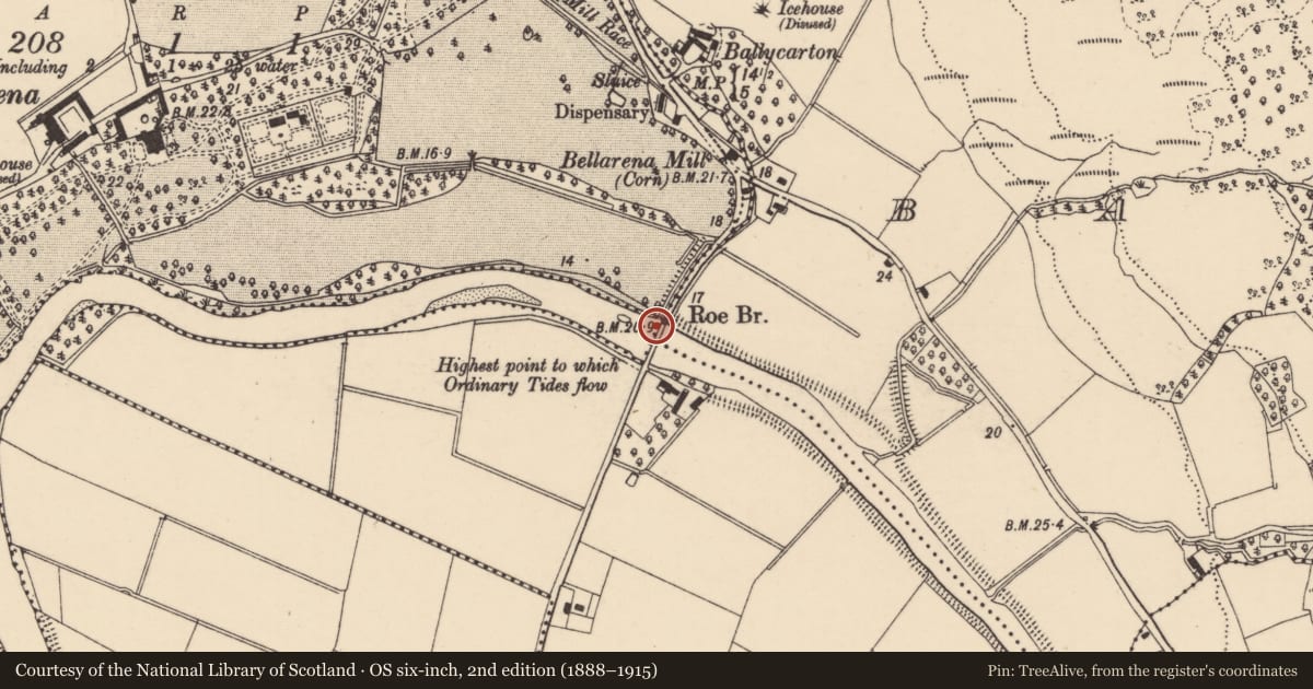 Ordnance Survey six-inch map, 2nd edition (1888–1915) covering the location of Roe Road Bridge, Bellarena, Causeway Coast and Glens, with a pin at the register's coordinates
