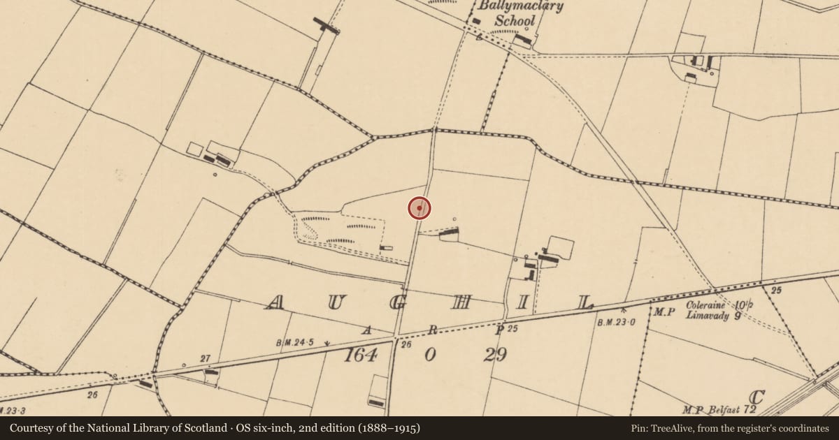 Ordnance Survey six-inch map, 2nd edition (1888–1915) covering the location of Magilligan Primary School, Aughill, Causeway Coast and Glens, with a pin at the register's coordinates