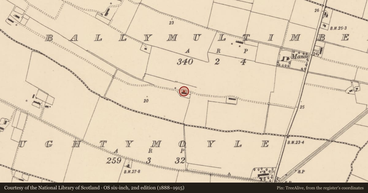 Ordnance Survey six-inch map, 2nd edition (1888–1915) covering the location of Thatched House, Ballymultimber, Causeway Coast and Glens, with a pin at the register's coordinates