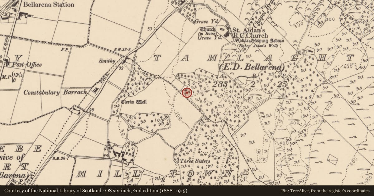 Ordnance Survey six-inch map, 2nd edition (1888–1915) covering the location of Lodge, Bellarena, Causeway Coast and Glens, with a pin at the register's coordinates