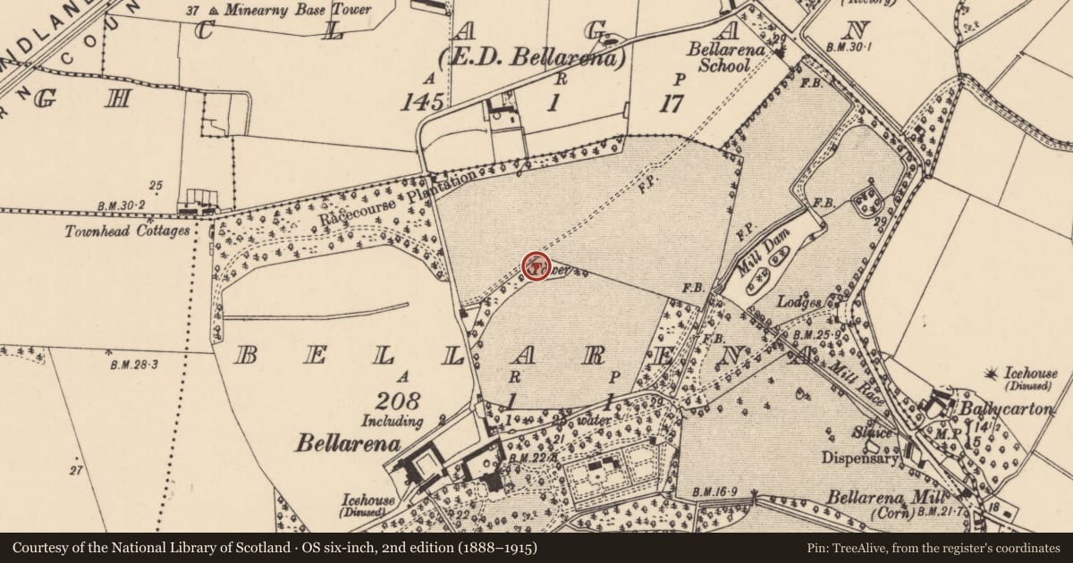 Ordnance Survey six-inch map, 2nd edition (1888–1915) covering the location of Tower, Bellarena, Causeway Coast and Glens, with a pin at the register's coordinates