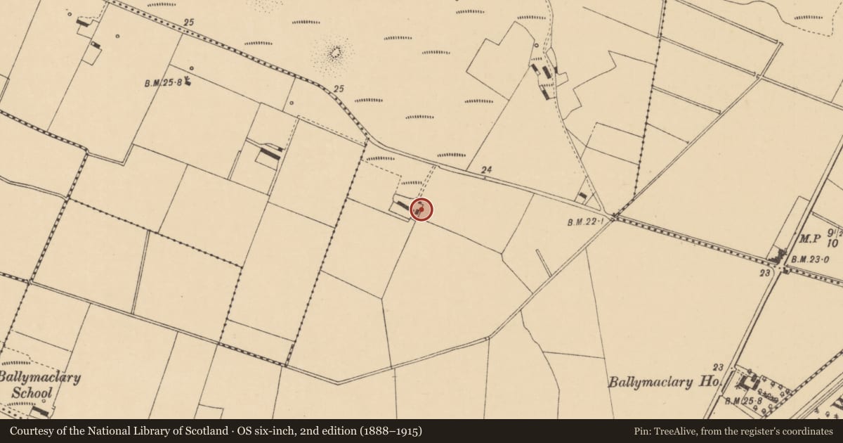 Ordnance Survey six-inch map, 2nd edition (1888–1915) covering the location of 658 Seacoast Road, Ballymaclary, Causeway Coast and Glens, with a pin at the register's coordinates