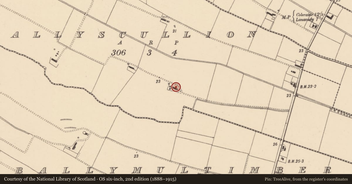 Ordnance Survey six-inch map, 2nd edition (1888–1915) covering the location of Thatched House, Ballyscullion, Causeway Coast and Glens, with a pin at the register's coordinates