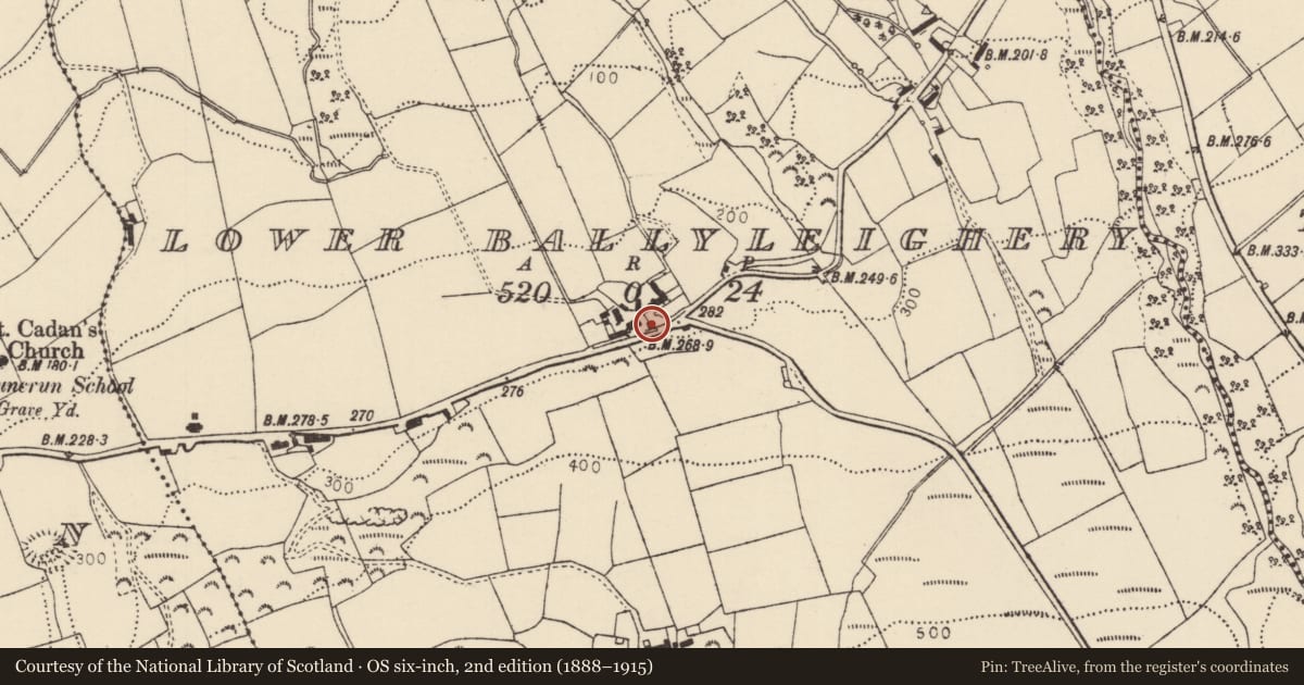 Ordnance Survey six-inch map, 2nd edition (1888–1915) covering the location of Brewster’s Cottage, Lower Ballyleighery, Causeway Coast and Glens, with a pin at the register's coordinates