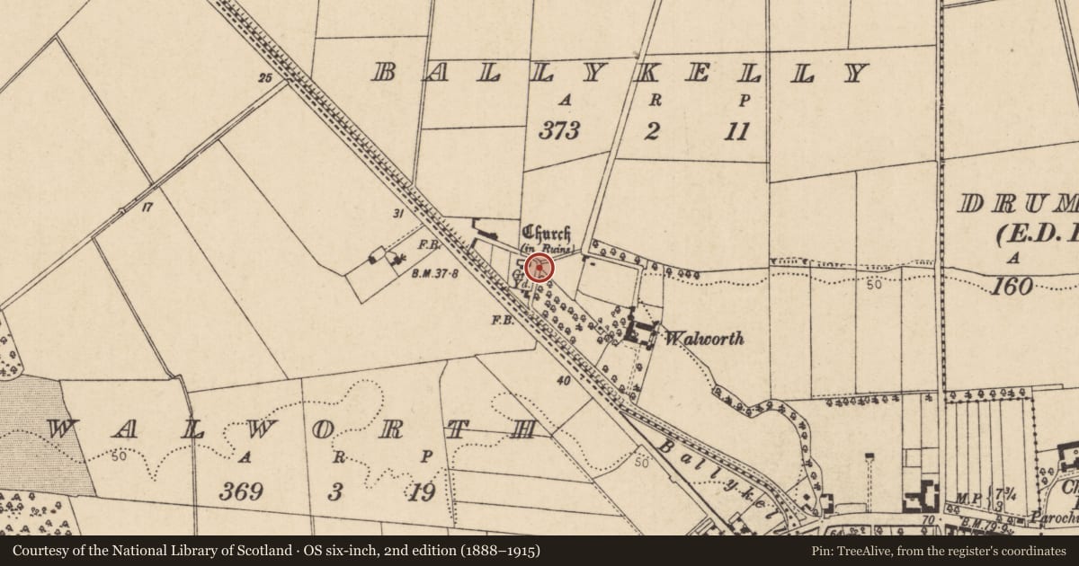 Ordnance Survey six-inch map, 2nd edition (1888–1915) covering the location of Ballykelly old church/graveyard, Causeway Coast and Glens, with a pin at the register's coordinates