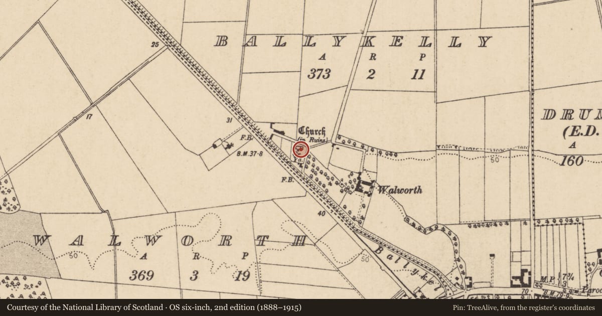 Ordnance Survey six-inch map, 2nd edition (1888–1915) covering the location of Cather Vault, Ballykelly, Causeway Coast and Glens, with a pin at the register's coordinates