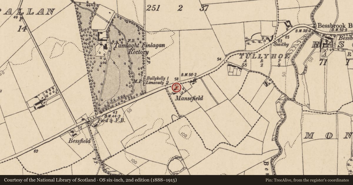 Ordnance Survey six-inch map, 2nd edition (1888–1915) covering the location of Mansefield House, Tully, Causeway Coast and Glens, with a pin at the register's coordinates
