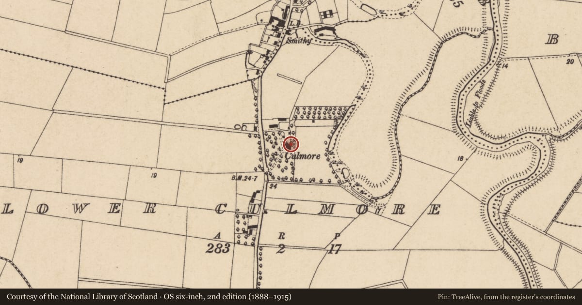 Ordnance Survey six-inch map, 2nd edition (1888–1915) covering the location of Culmore House, Lower Culmore, Causeway Coast and Glens, with a pin at the register's coordinates