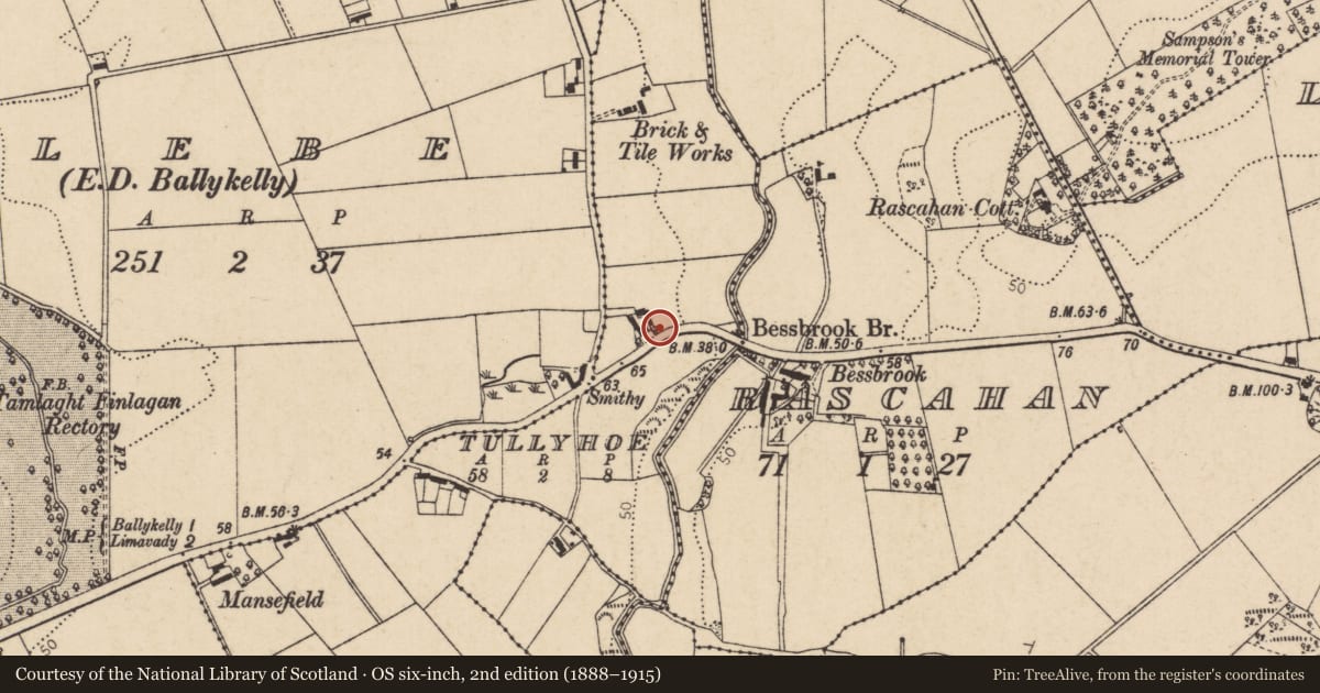 Ordnance Survey six-inch map, 2nd edition (1888–1915) covering the location of House near Bessbrook, Tullyhoe, Causeway Coast and Glens, with a pin at the register's coordinates