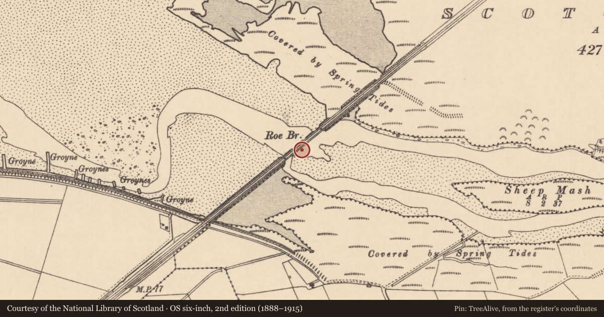 Ordnance Survey six-inch map, 2nd edition (1888–1915) covering the location of Roe Bridge (Railway), Carrowmuddle, Causeway Coast and Glens, with a pin at the register's coordinates