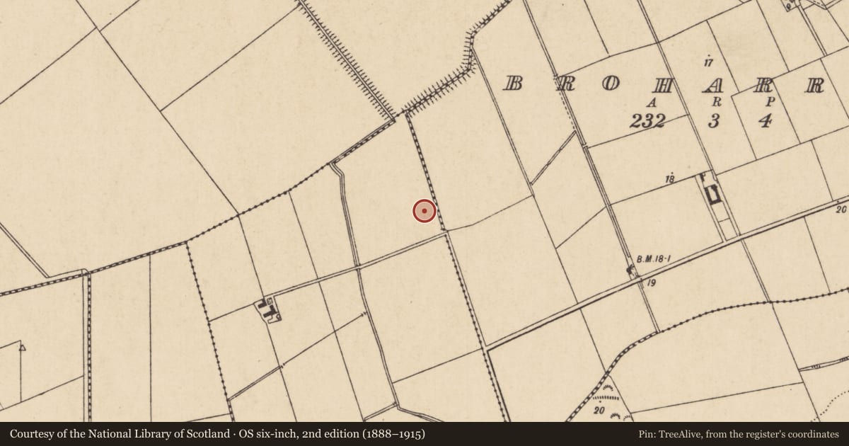 Ordnance Survey six-inch map, 2nd edition (1888–1915) covering the location of Aircraft Hangar, Ballyspallan, Causeway Coast and Glens, with a pin at the register's coordinates