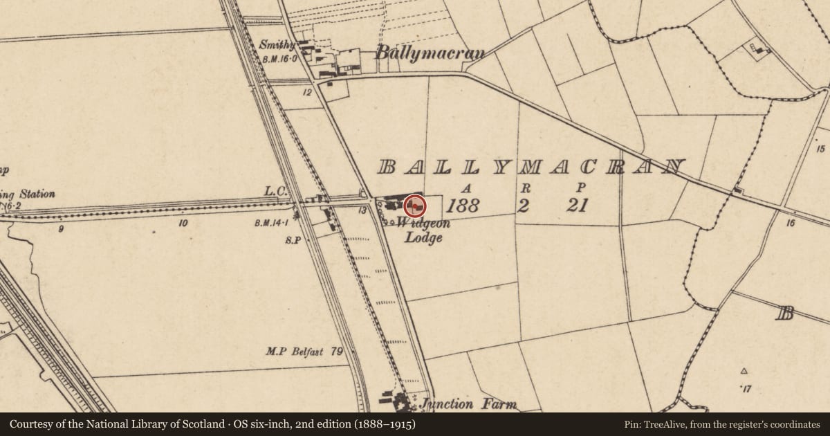 Ordnance Survey six-inch map, 2nd edition (1888–1915) covering the location of Widgeon Lodge, Ballymacran, Causeway Coast and Glens, with a pin at the register's coordinates