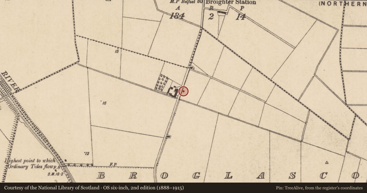 Ordnance Survey six-inch map, 2nd edition (1888–1915) covering the location of Broglasco House, Causeway Coast and Glens, with a pin at the register's coordinates