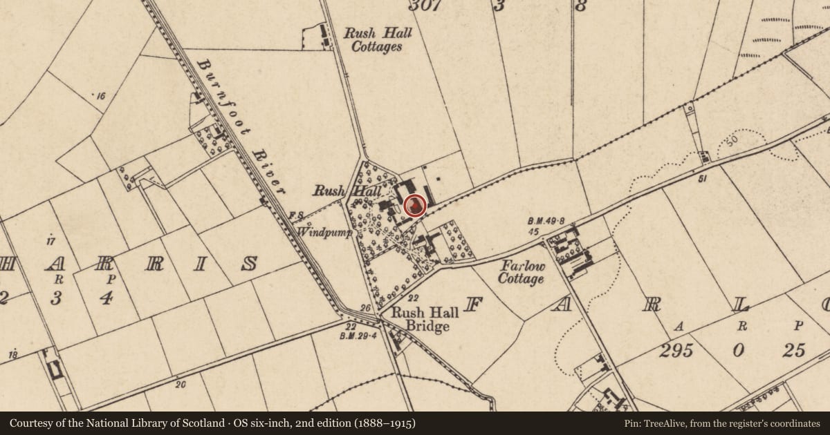 Ordnance Survey six-inch map, 2nd edition (1888–1915) covering the location of Rush Hall Nursing Home, Farlow, Causeway Coast and Glens, with a pin at the register's coordinates