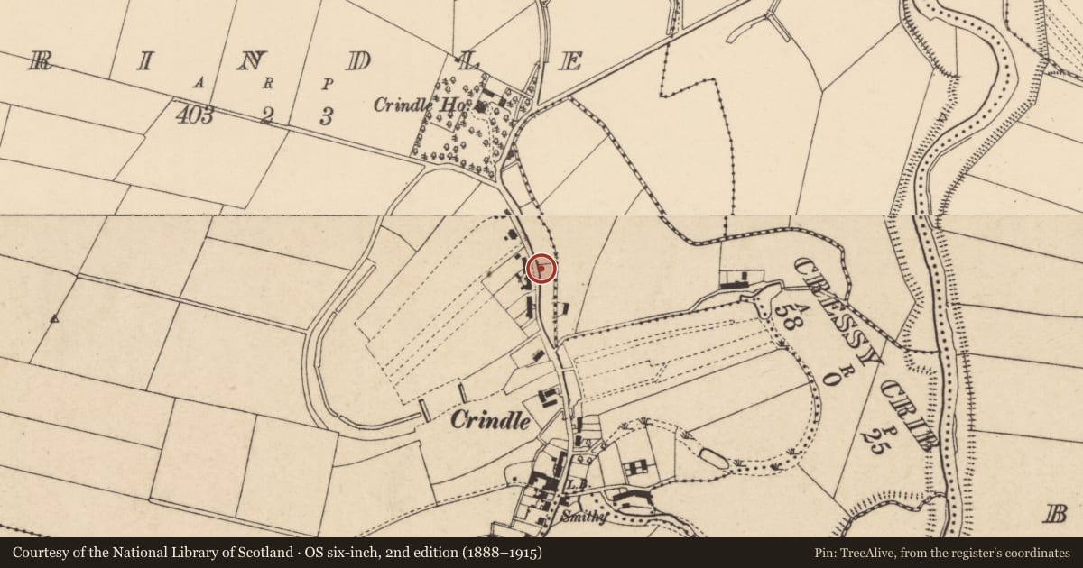 Ordnance Survey six-inch map, 2nd edition (1888–1915) covering the location of K6 Telephone Kiosk, Crindle, with a pin at the register's coordinates