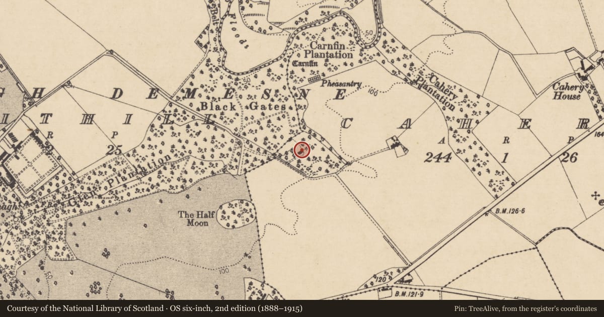Ordnance Survey six-inch map, 2nd edition (1888–1915) covering the location of Gamekeeper’s House (The Pheasantry), Fruithill, Causeway Coast and Glens, with a pin at the register's coordinates