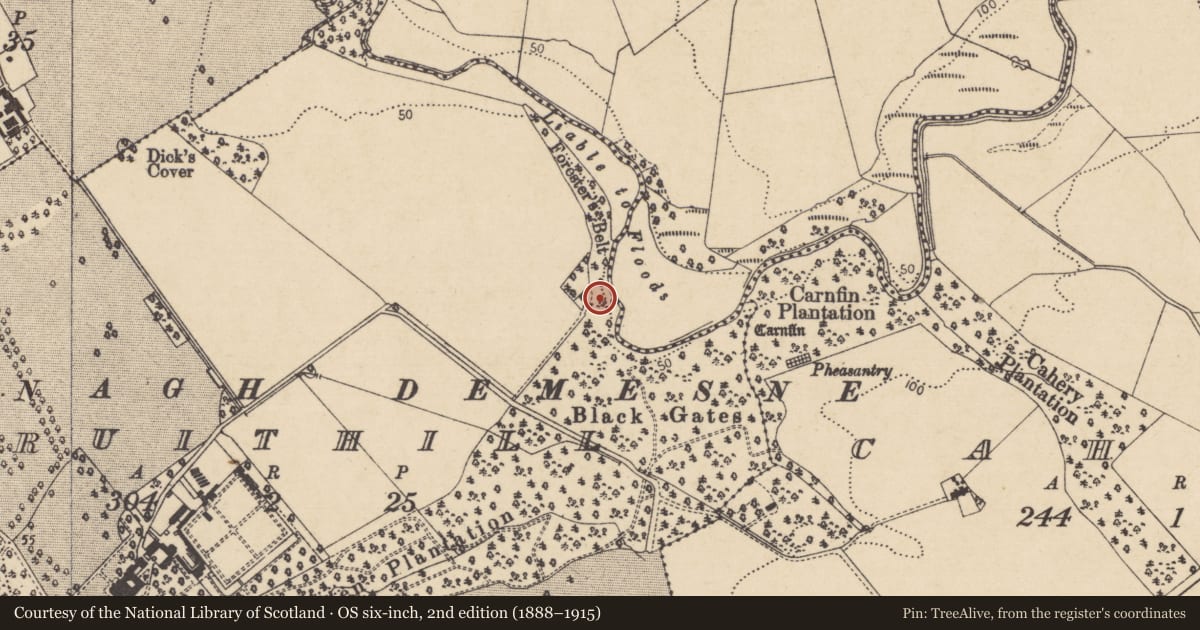Ordnance Survey six-inch map, 2nd edition (1888–1915) covering the location of Estate house, Fruithill, Causeway Coast and Glens, with a pin at the register's coordinates