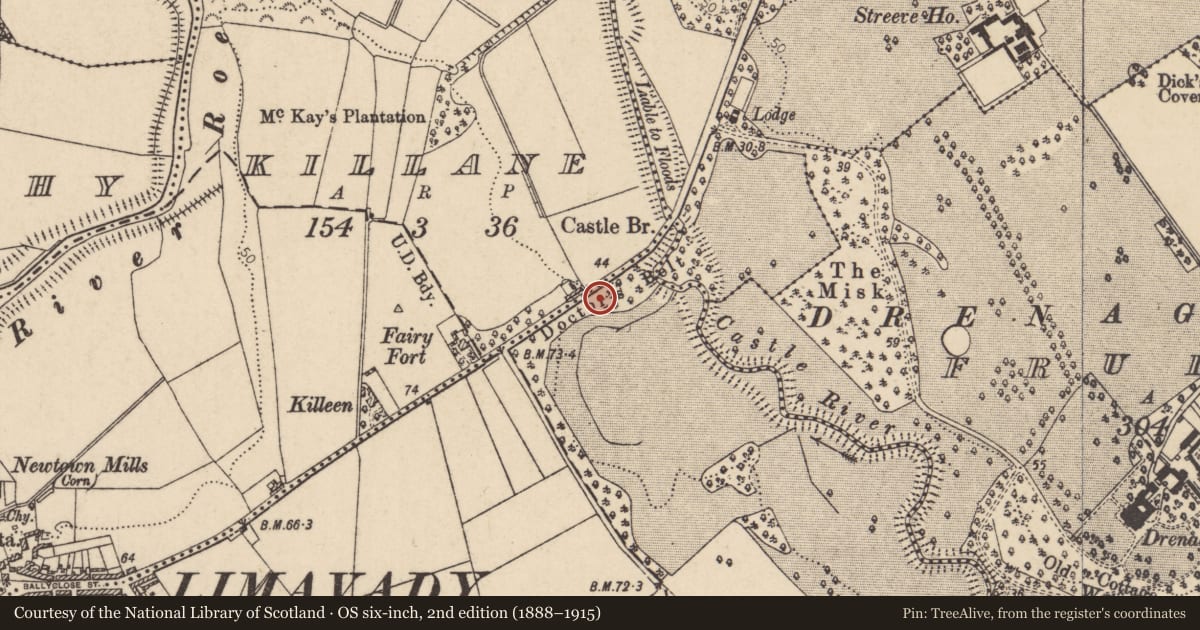 Ordnance Survey six-inch map, 2nd edition (1888–1915) covering the location of Wall & Secondary Entrance Gates, Fruithill, Causeway Coast and Glens, with a pin at the register's coordinates