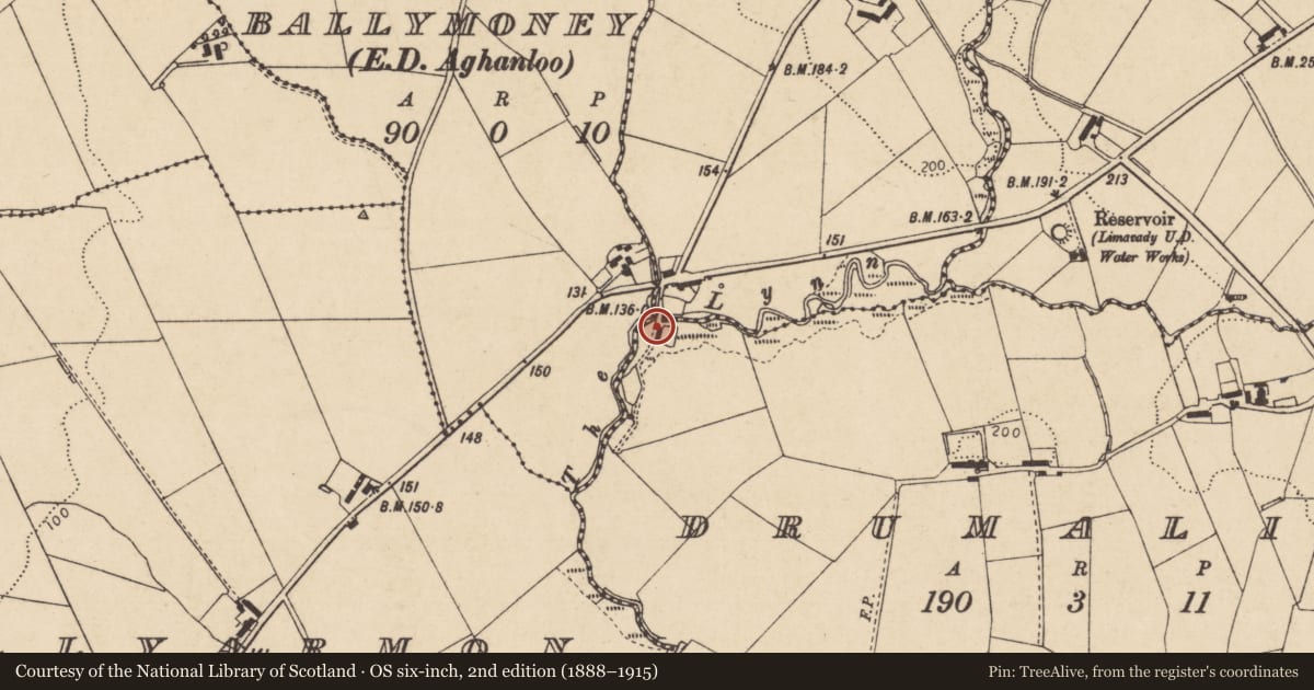 Ordnance Survey six-inch map, 2nd edition (1888–1915) covering the location of 67 Windyhill Road, Drumalief, Causeway Coast and Glens, with a pin at the register's coordinates