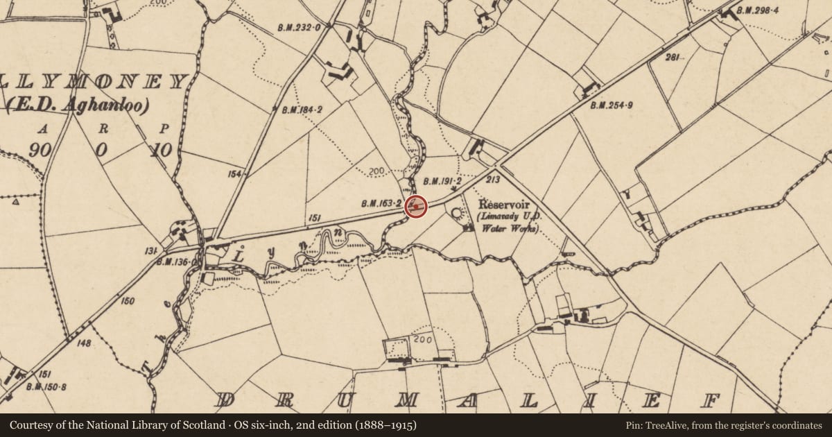 Ordnance Survey six-inch map, 2nd edition (1888–1915) covering the location of Dirtagh Bridge, Causeway Coast and Glens, with a pin at the register's coordinates