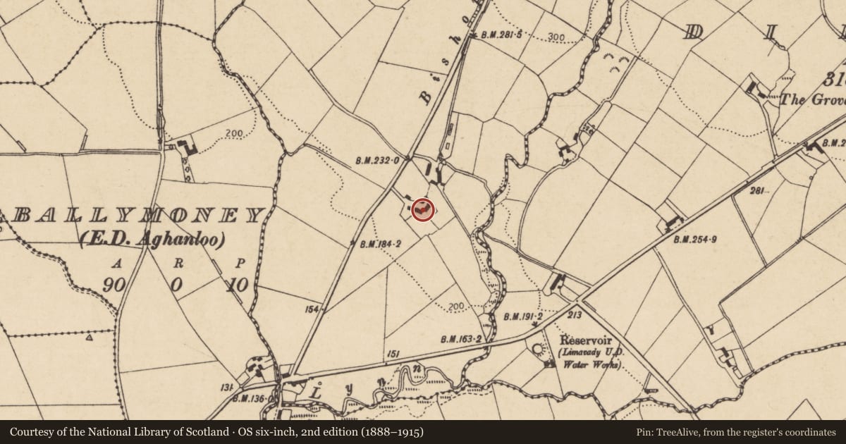 Ordnance Survey six-inch map, 2nd edition (1888–1915) covering the location of 7 Bishop’s Road, Lisnagrib, Causeway Coast and Glens, with a pin at the register's coordinates