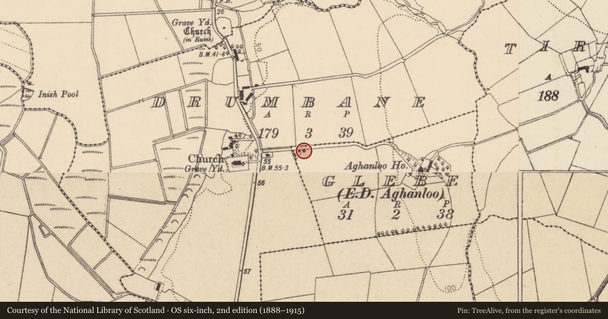 Ordnance Survey six-inch map, 2nd edition (1888–1915) covering the location of Redbrick Cottage, Glebe, Causeway Coast and Glens, with a pin at the register's coordinates