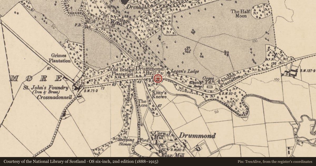 Ordnance Survey six-inch map, 2nd edition (1888–1915) covering the location of Drummond Bridge, Causeway Coast and Glens, with a pin at the register's coordinates