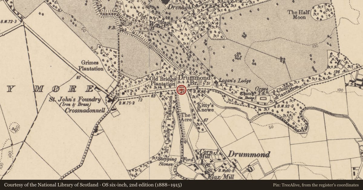 Ordnance Survey six-inch map, 2nd edition (1888–1915) covering the location of Old Bridge, Fruithill, Causeway Coast and Glens, with a pin at the register's coordinates