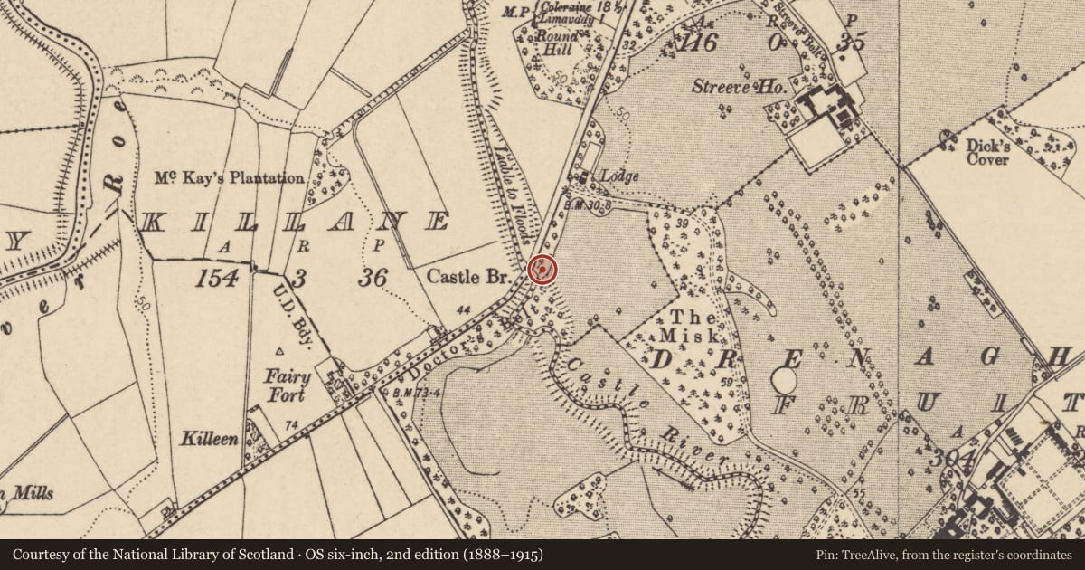 Ordnance Survey six-inch map, 2nd edition (1888–1915) covering the location of Castle Bridge, Fruithill, Causeway Coast and Glens, with a pin at the register's coordinates