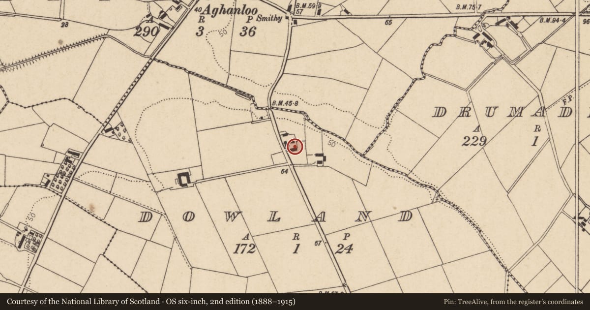 Ordnance Survey six-inch map, 2nd edition (1888–1915) covering the location of 47 Aghanloo Road, Dowland, Causeway Coast and Glens, with a pin at the register's coordinates