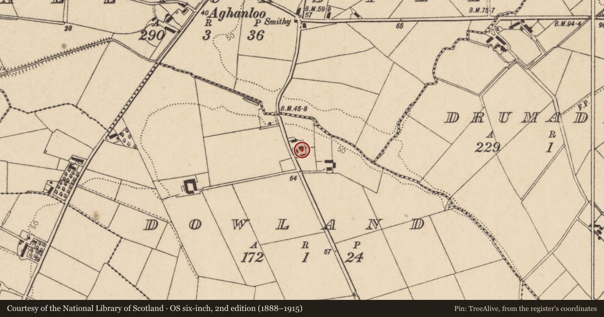 Ordnance Survey six-inch map, 2nd edition (1888–1915) covering the location of Aghanloo Post Office, Dowland, Causeway Coast and Glens, with a pin at the register's coordinates