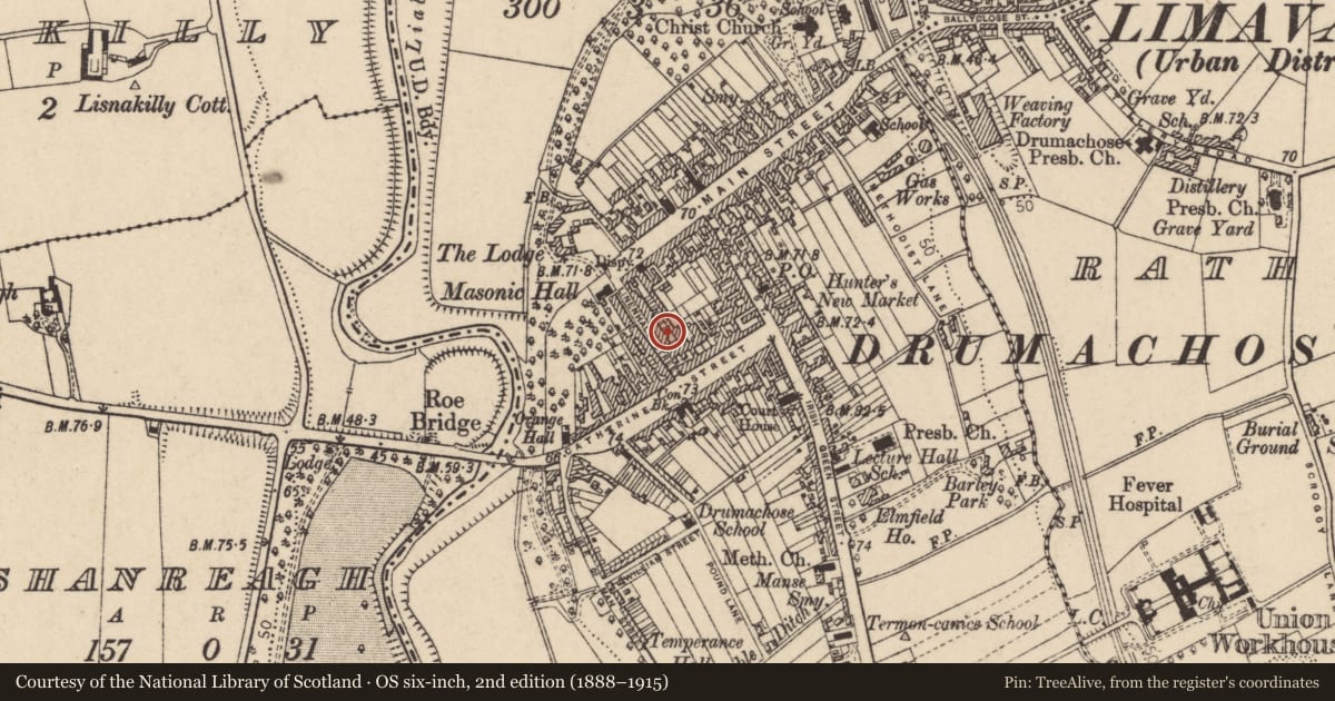 Ordnance Survey six-inch map, 2nd edition (1888–1915) covering the location of 9/11 Linenhall Street, Newtown Limavady, Causeway Coast and Glens, with a pin at the register's coordinates