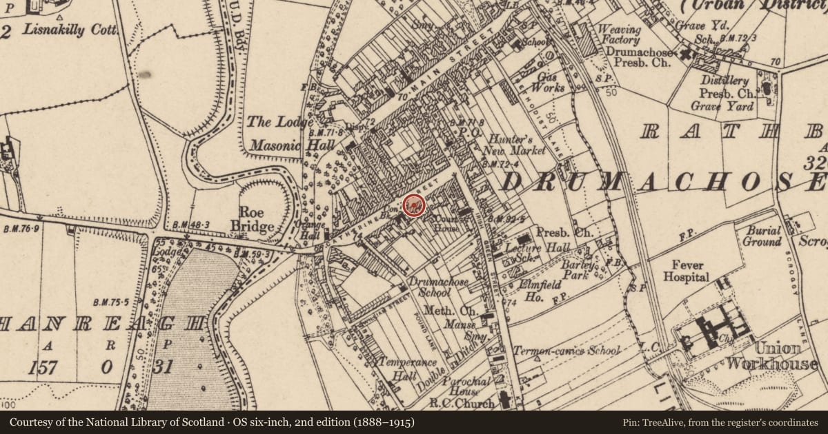 Ordnance Survey six-inch map, 2nd edition (1888–1915) covering the location of 38 Catherine Street, Newtown Limavady, Causeway Coast and Glens, with a pin at the register's coordinates
